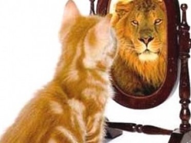 Improve Self-Confidence